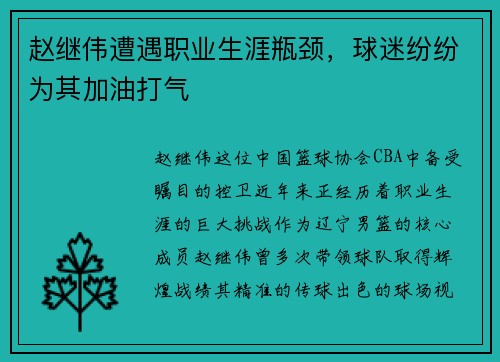 赵继伟遭遇职业生涯瓶颈，球迷纷纷为其加油打气